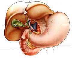 Safra Kesesi Operasyonu Geçiren Hastalar